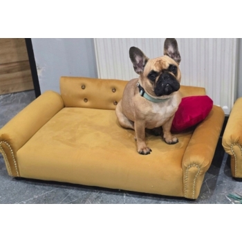 Duże legowisko kanapa sofa glamour dla psa 100 kolorów - 85x42 cm