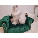 Kanapa sofa dla psa kota 150 kolorów