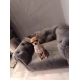 Kanapa sofa dla psa kota 150 kolorów